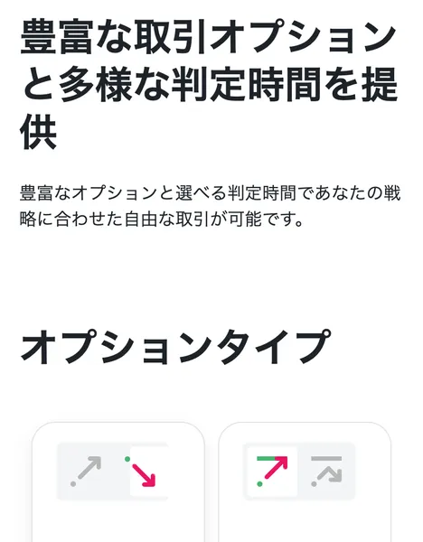 ババオプションの取引の仕組み。ハイ&ローやタッチなど複数のオプションタイプが用意されている
