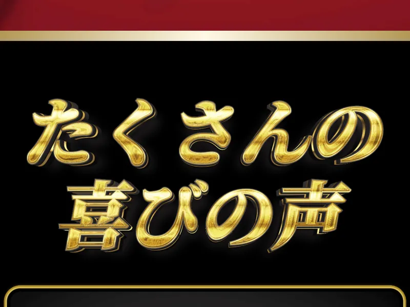 バラマキプロジェクトの広告ページ