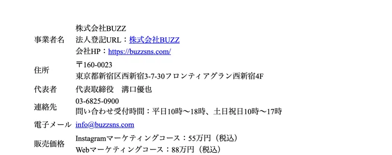 特商法ページに販売事業者として株式会社BUZZ・運営責任者 溝口優也と記載されている画面