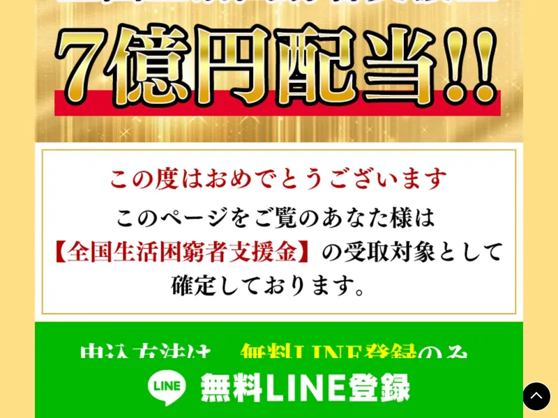 国際ボランティア支援財団のサイトに公的保護給付金制度と書かれた画面
