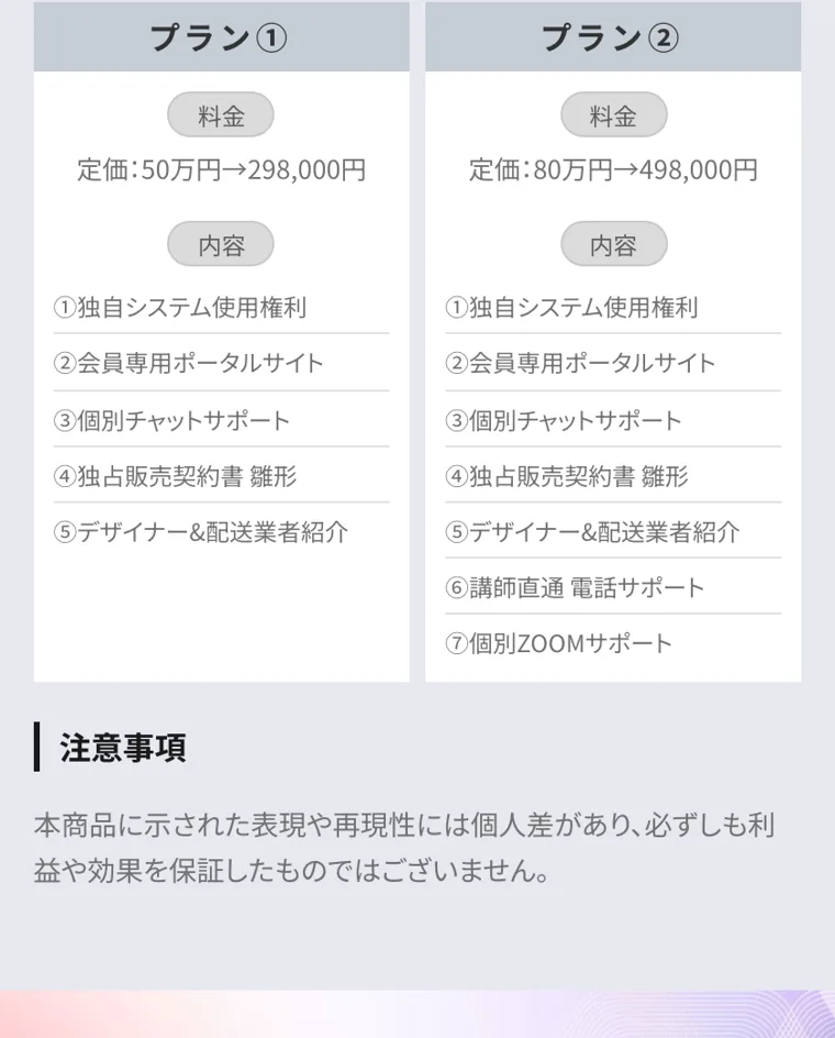 サポート内容の説明。システム利用権やサポートが並ぶが、稼げる保証は書かれていない